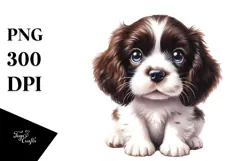 Expressive Baby English Springer Spaniel, PNG Product Image 1