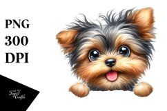 Crazy Looking Yorkipoo | Sublimation | Clipart Product Image 3