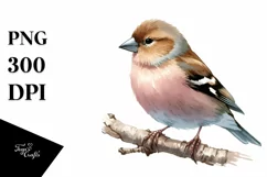 Colorful Simple Finch Clipart Product Image 1