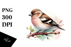 Colorful Simple Finch Clipart Product Image 3