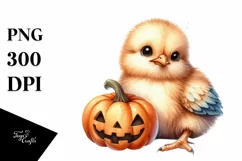 Cute Sitting Chicken with Halloween Pumpkin, PNG Product Image 3