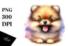 Happy Pomeranian Puppy PNG Product Image 1