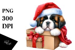 Expressive Baby Saint Bernard PNG Product Image 1