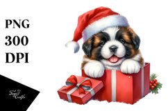 Expressive Baby Saint Bernard PNG Product Image 1