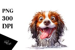 Crazy Looking Wet Furr | Clipart Product Image 3
