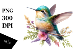 Baby Hummingbird | Watercolor | Sublimation Product Image 1