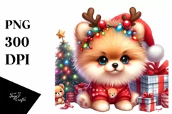Expressive Baby Pomeranian PNG Product Image 3