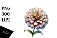 Zinnia with Golden Insertions, Transparent PNG Product Image 1