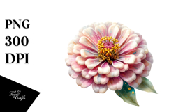 Zinnia with Golden Insertions, Transparent PNG Product Image 1