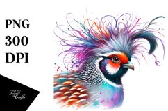 Sublimation|Clipart Product Image 3