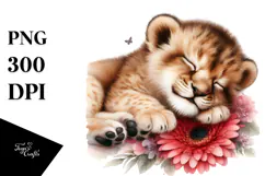 Baby Lion Sleeping on Flower, PNG Product Image 1