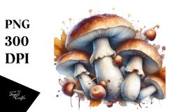 Detailed Mushroom PNG Product Image 3