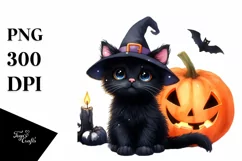 Vibrant Baby Black Cat Scenery | Clipart Product Image 3