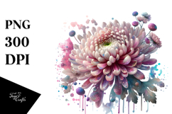 Chrysanthemum PNG Product Image 1