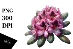 Rhododendron PNG Product Image 1