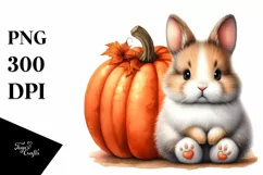 Funny Baby Bunny Pumpkin Clipart Product Image 1