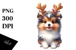 Enthusiastic Baby Shetland Sheepdog PNG Product Image 1