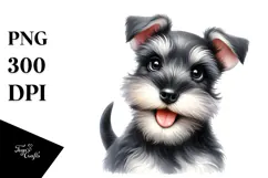 Happy Baby Miniature Schnauzer, PNG Product Image 1
