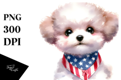 Expressive Baby Bichon Frise, Transparent PNG Product Image 1