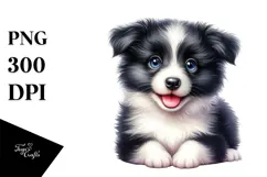 Cute Border Collie With Big Eyes PNG Product Image 1
