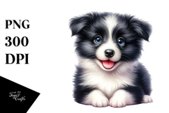 Cute Border Collie With Big Eyes PNG Product Image 1