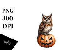 Owl in Halloween Costume, Transparent PNG Product Image 1