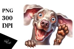 Crazy Looking Weimaraner | Sublimation Clipart Product Image 3