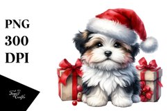 Expressive Baby Watercolor Havanese, Winter Outfit PNG Product Image 3