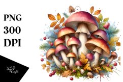 Detailed Mushroom with Splash Product Image 3