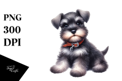 Cute Baby Miniature Schnauzer, Transparent PNG Product Image 1