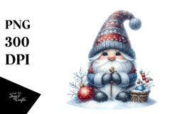 Detailed Winter Gnome Product Image 3