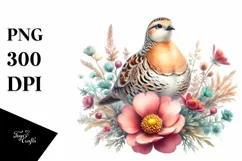 Vibrant Sandgrouse Above Flower | Sublimation Clipart Product Image 3