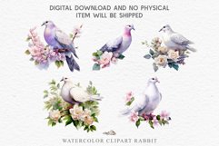 White Dove Birds Clipart Valentine Day Love Pigeon Flowers Scrapbooking Image Watercolor Transparent Print invitation t-shirt designs sublimation printable  watercolor cute White Dove Birds bird clipart, sublimation drawing Valentine Day Love Pigeon Flowe