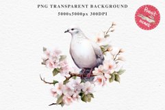 White Dove Birds Clipart Valentine Day Love Pigeon Flowers Scrapbooking Image Watercolor Transparent Print invitation t-shirt designs sublimation printable  watercolor cute White Dove Birds bird clipart, sublimation drawing Valentine Day Love Pigeon Flowe