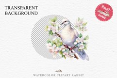 White Dove Birds Clipart Valentine Day Love Pigeon Flowers Scrapbooking Image Watercolor Transparent Print invitation t-shirt designs sublimation printable  watercolor cute White Dove Birds bird clipart, sublimation drawing Valentine Day Love Pigeon Flowe