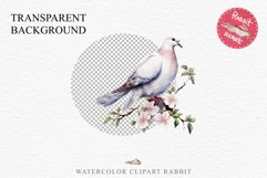 White Dove Birds Clipart Valentine Day Love Pigeon Flowers Scrapbooking Image Watercolor Transparent Print invitation t-shirt designs sublimation printable  watercolor cute White Dove Birds bird clipart, sublimation drawing Valentine Day Love Pigeon Flowe