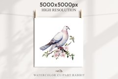 White Dove Birds Clipart Valentine Day Love Pigeon Flowers Scrapbooking Image Watercolor Transparent Print invitation t-shirt designs sublimation printable  watercolor cute White Dove Birds bird clipart, sublimation drawing Valentine Day Love Pigeon Flowe