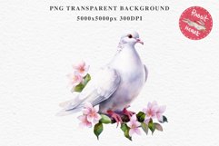 White Dove Birds Clipart Valentine Day Love Pigeon Flowers Scrapbooking Image Watercolor Transparent Print invitation t-shirt designs sublimation printable  watercolor cute White Dove Birds bird clipart, sublimation drawing Valentine Day Love Pigeon Flowe