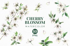 Watercolor cherry blossom clipart White flowers clipart used as a diy project inspiration