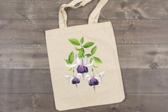 White fuchsia flowers watercolor
