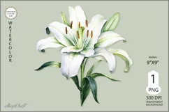 Lily flower PNG clipart|Watercolor lillie| floral Product Image 1