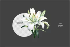 Lily flower PNG clipart|Watercolor lillie| floral Product Image 2