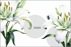 Lily flower PNG clipart|Watercolor lillie| floral Product Image 3