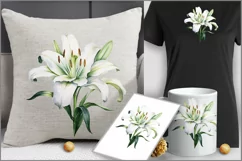 Lily flower PNG clipart|Watercolor lillie| floral Product Image 4