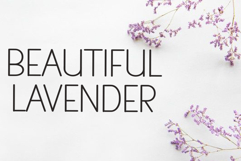 White Line Product Image 7