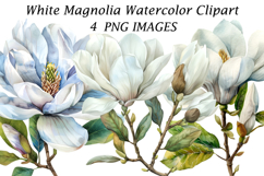 White Magnolia Watercolor Clipart Product Image 1