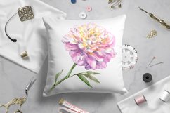 Peony watercolor - sublimation design Product Image 4