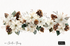 Watercolor White Poinsettia Clipart | Christmas PNG Product Image 1