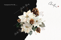 Watercolor White Poinsettia Clipart | Christmas PNG Product Image 2