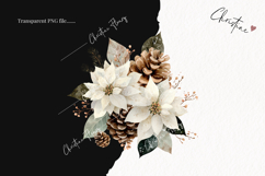 Watercolor White Poinsettia Clipart | Christmas PNG Product Image 2